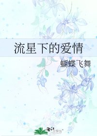 《流星下的愛情》