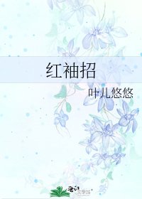 《宏袖招》