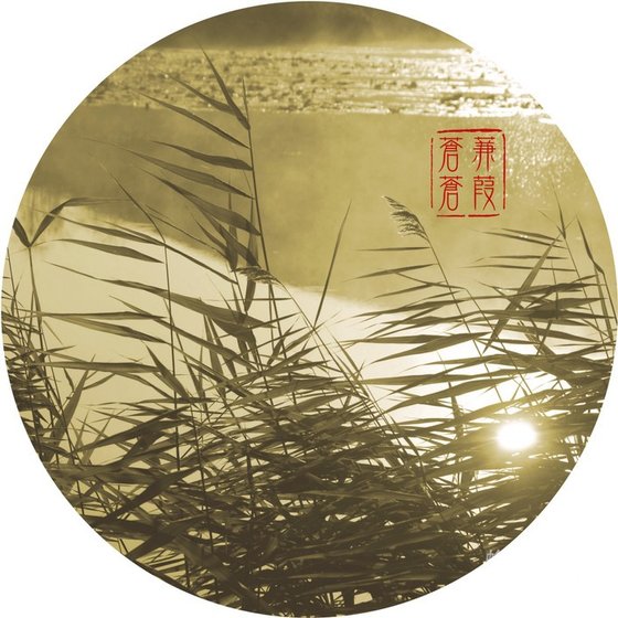 《蒹葭蒼蒼》