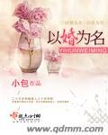 《以婚為名》
