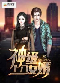 《神級上門女婿》
