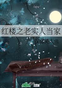 《紅樓之老實人當家》