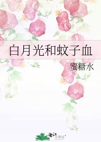 《白月光和蚊子血》