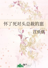 《懷了私對頭總裁的崽》