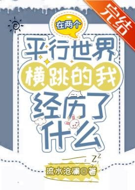 《(綜漫同人)在兩個平行世界橫跳的我經歷了什麼》