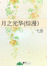 《月之光華(綜漫)》