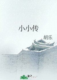 小小傳