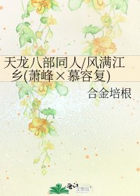 《天龍八部同人/風漫江鄉(蕭峯×慕容復)》