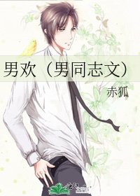 男歡（男同志文）