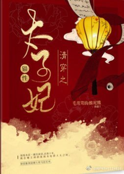 《清穿之貓性太子妃》