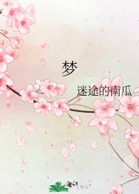 夢