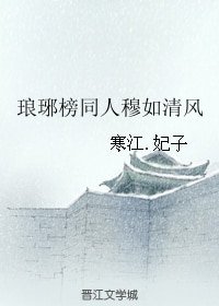 《(BG/琅琊榜同人)琅琊榜同人穆如清風》