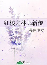 《紅樓之林郎新傳》