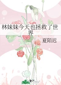 《林妹妹今天也拯救了世界》