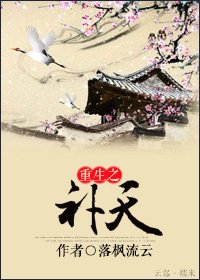 《重生之補天》