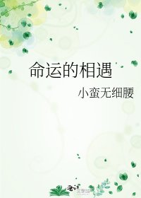 《命運的相遇》