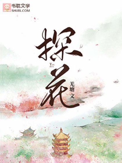 《探花》