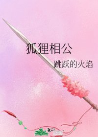 《狐狸相公》