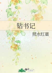 《鑽書記》