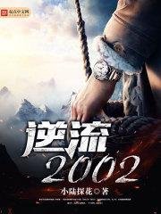 《逆流2002》