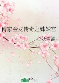 《傅家金龍傳奇之姊妹宮》