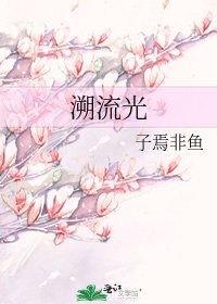 《溯流光》
