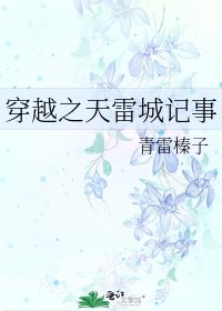 《穿越之天雷城記事》
