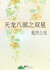 《天龍八部之雙星》