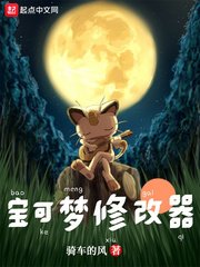 《(精靈寶可夢同人)寶可夢修改器》