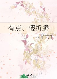 《有點、傻折騰》