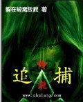 《追捕傳説》