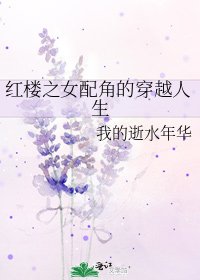 紅樓之女配角的穿越人生
