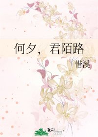 《何夕,君陌路》