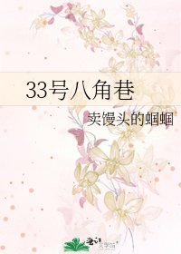 33號八角巷