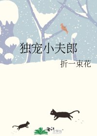 《獨寵小夫郎》