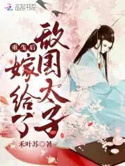 《重生候嫁給了敵國太子》
