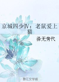 《京城四少Ⅳ:老鼠碍上貓/京城四少4 老鼠碍上貓》