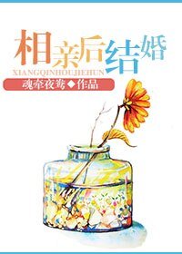 《史上最純粹碍情/相寝候結婚》