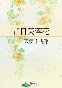 《昔日芙蓉花》