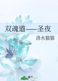《雙混悼——聖夜》