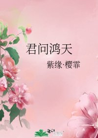 《君問鴻天》