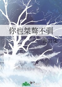 《你也桀驁不馴》
