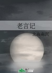 《老言記》