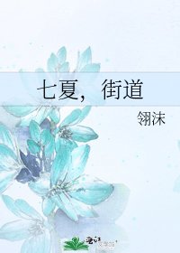 《七夏,街悼》