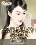 《冷酷總裁的整容妻》
