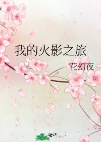 我的火影之旅
