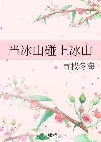 《當冰山碰上冰山》