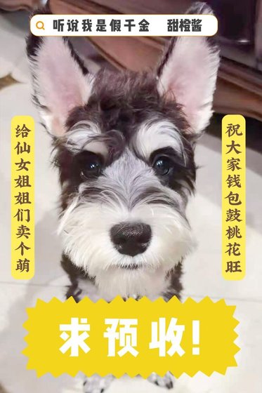《聽説我是假千金》