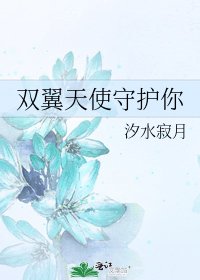 《雙翼天使守護你》