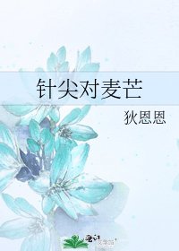 《針尖對麥芒》